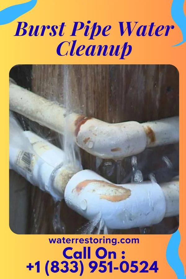 Burst Pipe Water Cleanup in Oakboro, NC
