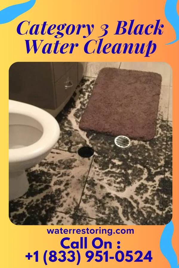 Category 3 Black Water Cleanup in Oakboro, NC