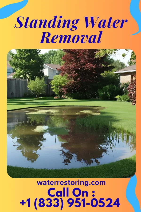 Standing Water Removal in Oakboro, NC